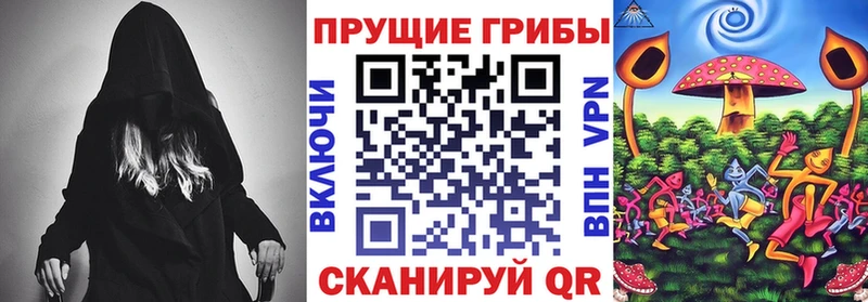 кракен зеркало  Апшеронск  Галлюциногенные грибы Magic Shrooms 